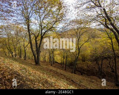 Saison d'automne dans la vallée de Genal, Andalousie Banque D'Images