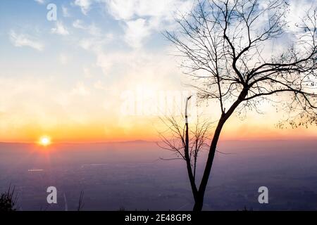 Panorama arbre silhouette en italie avec coucher de soleil.arbre silhoueté contre un soleil couchant. Assise, province de l'ombrie en arrière-plan Banque D'Images