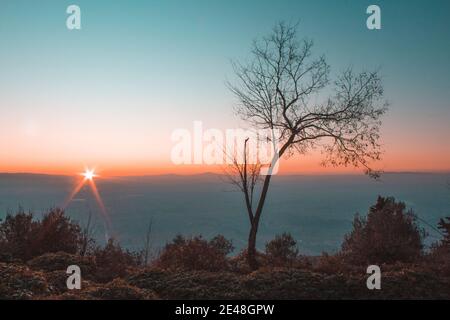 Panorama arbre silhouette en italie avec coucher de soleil.arbre silhoueté contre un soleil couchant. Assise, province de l'ombrie en arrière-plan Banque D'Images