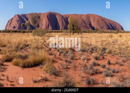 Uluru, territoire du Nord, Australie - 10 janvier 2021 : Uluru ou Ayers Rock est un énorme monolithe de grès dans le parc national d'Uluru-Kata Tjuta Banque D'Images