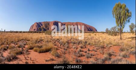 Uluru, territoire du Nord, Australie - 10 janvier 2021 : Uluru ou Ayers Rock est un énorme monolithe de grès dans le parc national d'Uluru-Kata Tjuta Banque D'Images