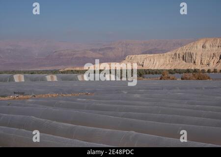 Tunnels tunnels tunnels recouverts de plastique polyéthylène dans le champ agricole à La frontière israélienne avec la Jordanie dans le nord de la vallée d'Arava En Israël Banque D'Images