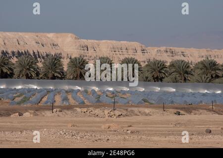 Tunnels tunnels tunnels recouverts de plastique polyéthylène dans le champ agricole à La frontière israélienne avec la Jordanie dans le nord de la vallée d'Arava En Israël Banque D'Images