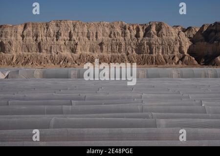 Tunnels tunnels tunnels recouverts de plastique polyéthylène dans le champ agricole à La frontière israélienne avec la Jordanie dans le nord de la vallée d'Arava En Israël Banque D'Images