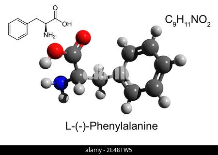 Formule chimique, formule squelettique et modèle boule-et-bâton 3D de la L-phénylalanine, un acide aminé essentiel, fond blanc Banque D'Images