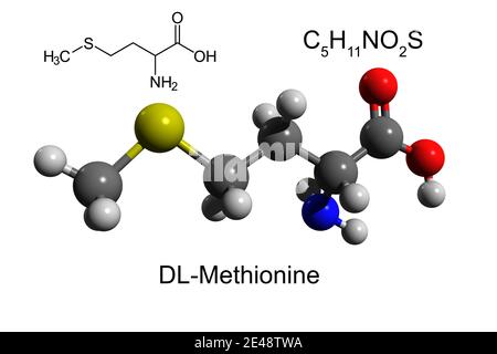 Formule chimique, formule squelettique et modèle 3D boule-et-bâton de la DL-méthionine Banque D'Images