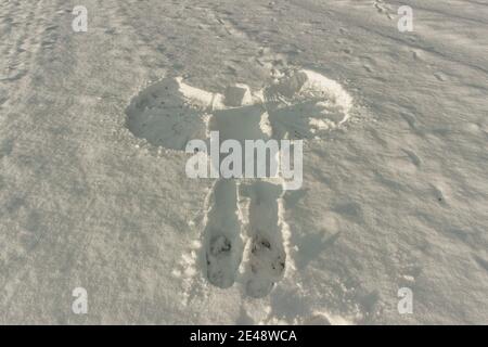 Ange de neige dans la neige fraîche. Trace du corps humain adulte dans le paysage d'hiver.impression du corps copie espace.scène de crime dans la nature, forme du corps neige t Banque D'Images