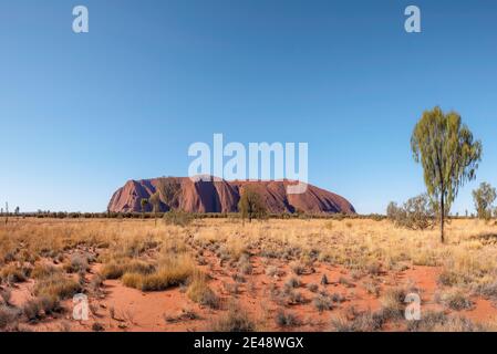 Uluru, territoire du Nord, Australie - 10 janvier 2021 : Uluru ou Ayers Rock est un énorme monolithe de grès dans le parc national d'Uluru-Kata Tjuta Banque D'Images