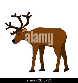 Dessin animé brun cerf dessin main avec bois ou caribou va quelque part. L'animal est isolé sur fond blanc Illustration de Vecteur
