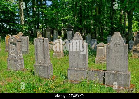 Cimetière juif près de Beilstein, vallée de la Moselle, Rhénanie-Palatinat, Allemagne Banque D'Images