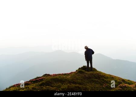 Un séjour touristique au bord d'une falaise couverte d'un tapis rose de fleurs de rhododendron en été. Montagnes brumeuses en arrière-plan. Photographie de paysage Banque D'Images