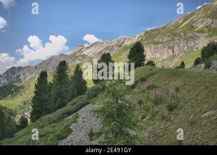 Incroyable et unique panorama de montagne à l'Albulapass en Suisse 12.8.2020 Banque D'Images