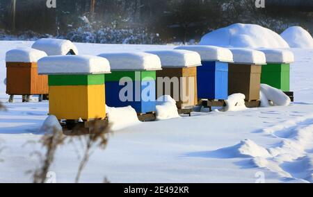 Minsk. 22 janvier 2021. Photo prise le 22 janvier 2021 montre le paysage de neige à Minsk, Biélorussie. Credit: Henadz Zhinkov/Xinhua/Alamy Live News Banque D'Images