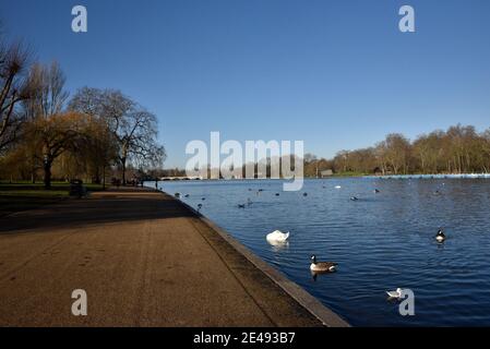 Hyde Park, Londres, Royaume-Uni. 22 janvier 2021. Météo au Royaume-Uni : journée ensoleillée à Londres, Serpentine à Hyde Park. Crédit : Matthew Chattle/Alay Live News Banque D'Images