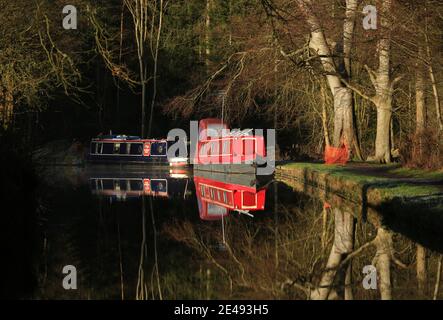 Des barques de la forêt amarrées sur le canal du Staffordshire et du Worcestershire près de Kinver, Staffordshire, Angleterre, Royaume-Uni. Banque D'Images