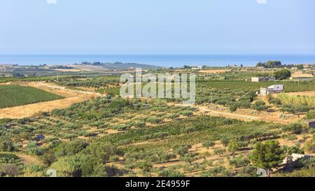 Vue d'été sur le paysage de campagne de l'ouest de la Sicile, Italie Banque D'Images