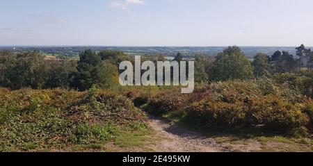 Parc national de Lickey Hills Banque D'Images