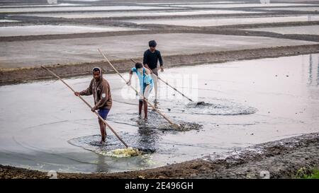 MUMBAI, INDE - 17 décembre 2020 : travailleurs non identifiés dans la ferme et la grange de sel de mer Banque D'Images
