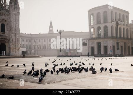 Pigeons dans le calme Piazza del Duomo pendant 2020 Covid-19 Lockdown, Milan, Italie Banque D'Images