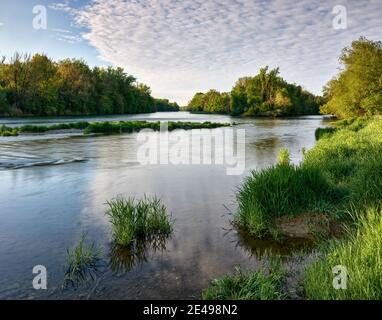 Rivière, estuaire, eau courante, plaine inondable, eau, courant, forêt alluviale, nature, aire de protection du paysage, LSG Banque D'Images