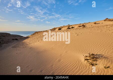 Dune de sable au coucher du soleil sur la plage Playa del Viejo Rey, Fuerteventura, îles Canaries, Espagne Banque D'Images