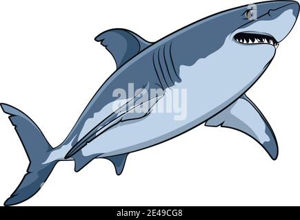 Dessin vectoriel d'un grand requin blanc. Objets isolés sur fond blanc. Illustration de Vecteur