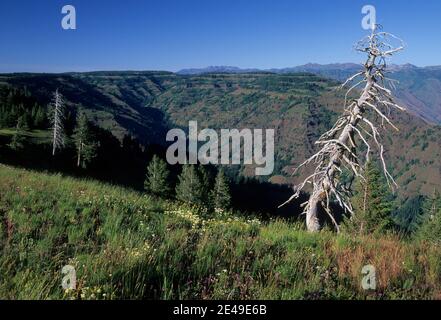 Vue sur Hells Canyon, terrain de jeux national de Hells Canyon, Oregon Banque D'Images