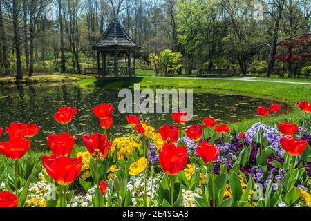 Fleurs printanières fleuries au premier plan le long de l'étang avec le belvédère et les bois dans le parc en arrière-plan Banque D'Images