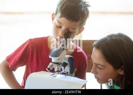 Garçon regardant au microscope avec une fille regardant dessus Banque D'Images