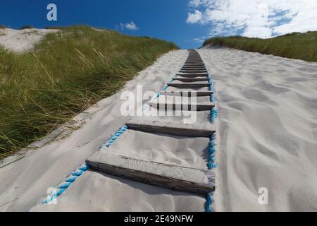 Dune avec pelouse de plage et échelle de corde comme une traversée de plage sur l'île d'Amrum dans le nord de la Frise, Schleswig-Holstein, Allemagne Banque D'Images