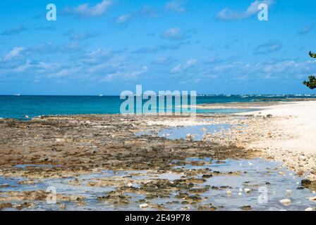 Le paysage rocheux de la célèbre plage Seven Mile Beach sur l'île Grand Cayman (îles Caïman). Banque D'Images