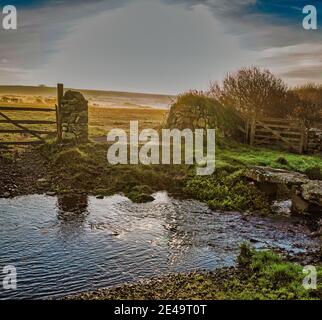 Lever du soleil tôt le matin au-dessus du pont clapper et des champs de Pembrokeshire Pays de Galles Banque D'Images