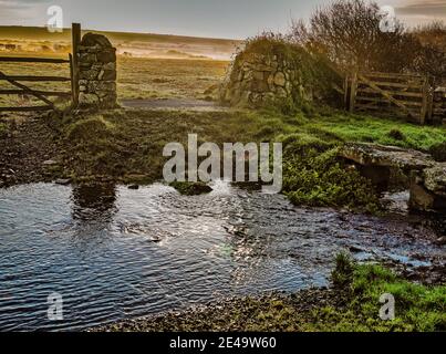 L'aube brumeuse au-dessus des champs dans la campagne du Pembrokeshire, Banque D'Images