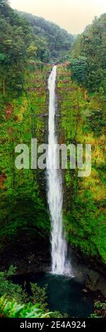 Vue sur une chute d'eau, les chutes d'Akaka, le parc national d'Akaka Falls, le comté d'Hawaii, Hawaï, États-Unis Banque D'Images