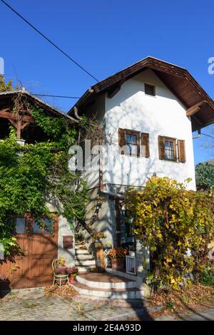 Rechnitz, maison historique dans le vignoble Weingebirge, Burgenland du Sud, Burgenland, Autriche Banque D'Images