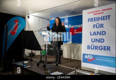 22 janvier 2021, Brandebourg, Rüdersdorf: Birgit Bessin, chef parlementaire adjoint du parti de l'AfD Brandenburg, s'exprime lors d'une manifestation de l'AfD Brandenburg contre les mesures du gouvernement de l'État pour contenir la pandémie de Corona. Photo: Christophe GATEAU/dpa Banque D'Images