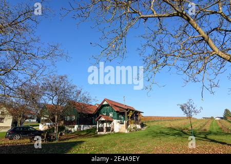 Deutsch Schützen-Eisenberg, maison de vignoble à Deutsch Schützner Bergen, Burgenland du Sud, Burgenland, Autriche Banque D'Images