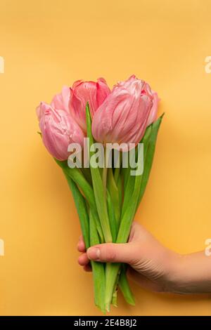 Main de femme tenant des tulipes rose tendre sur fond jaune pastel. Pose à plat. Copier l'espace. Placer pour le texte. Concept de femmes internationales Banque D'Images