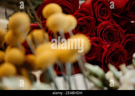 Fleuriste caucasien vendant des bouquets de roses rouges et roses pour la Saint-Valentin. Concept des émotions humaines, de l'expression faciale, de l'amour et du travail acharné Banque D'Images