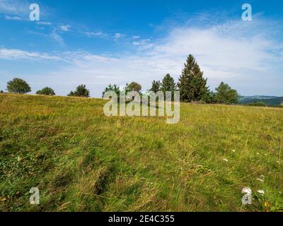 Paysage de Rhön sur le Kreuzberg - la montagne sacrée de la Franconie - Réserve de biosphère de Rhön, Basse-Franconie, Franconie, Bavière, Allemagne Banque D'Images