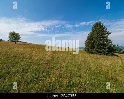 Paysage de Rhön sur le Kreuzberg - la montagne sacrée de la Franconie - Réserve de biosphère de Rhön, Basse-Franconie, Franconie, Bavière, Allemagne Banque D'Images