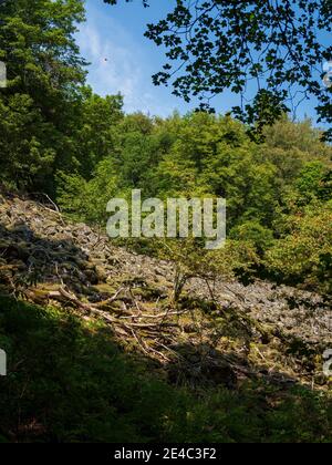 Paysage de Rhön sur le Kreuzberg - la montagne sacrée de la Franconie - Réserve de biosphère de Rhön, Basse-Franconie, Franconie, Bavière, Allemagne Banque D'Images