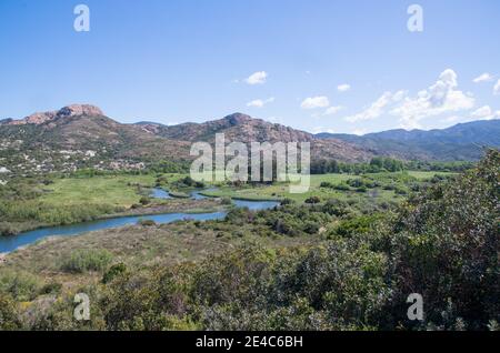 Vue sur le delta de l'Ostricone sur l'île française de Corse Banque D'Images