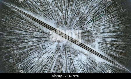 Route à travers la forêt d'hiver Banque D'Images