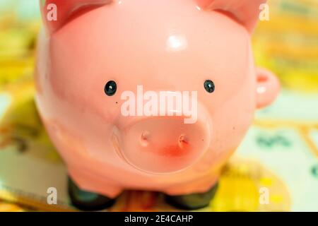 la banque de piggy sur cinquante euros de billets de banque arrière-plan Banque D'Images