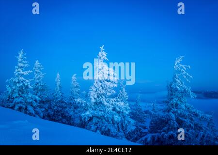 heure bleue sur le pic de montagne fraîchement enneigé Banque D'Images