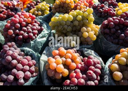 Des piles de raisins verts et rouges/violets exposées en plein air avec le soleil éclairant les fruits qui se vendent sur un marché. Banque D'Images