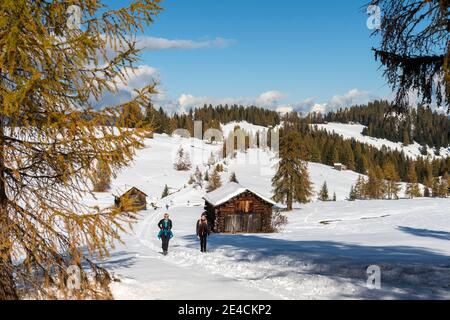 Hochabtei / Alta Badia, province de Bolzano, Tyrol du Sud, Italie, Europe. Banque D'Images