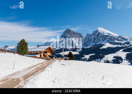 Seiser Alm, Castelrotto, province de Bolzano, Tyrol du Sud, Italie. Le Rauchhütte sur l'Alm Seiser avec vue sur le Langkofel et le Plattkofel Banque D'Images