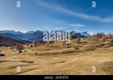 Hochabtei / Alta Badia, province de Bolzano, Tyrol du Sud, Italie, Europe. Automne dans les prés d'Armentara, derrière la Marmolada, le groupe Sella, les pics Geisler et le Peitlerkofel Banque D'Images